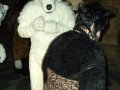 DSCF2786.JPG
